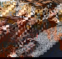 Half Hour Group Horse Riding Experience - Darwin Holiday