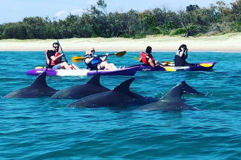 Half Day Dolphin Kayaking And Snorkeling Tour - Darwin Holiday 1
