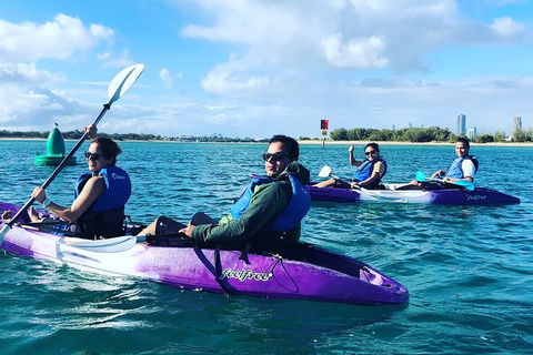 Half Day Dolphin Kayaking And Snorkeling Tour - Darwin Holiday 5