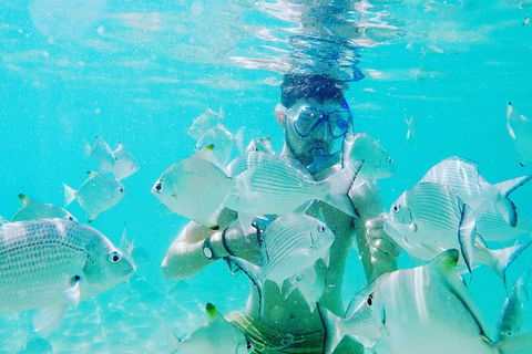 Half Day Dolphin Kayaking And Snorkeling Tour - Darwin Holiday 3