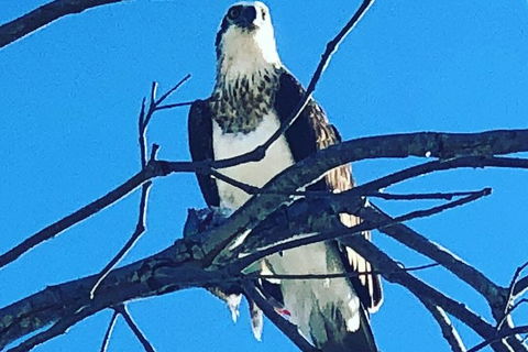 Half Day Dolphin Kayaking And Snorkeling Tour - Darwin Holiday 7