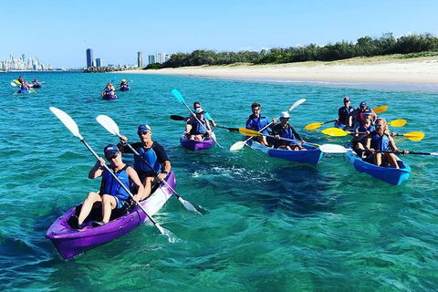 Half Day Dolphin Kayaking And Snorkeling Tour - Darwin Holiday 11