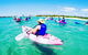 Half Day Dolphin Kayaking And Snorkeling Tour - thumb 0