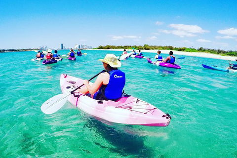 Half Day Dolphin Kayaking And Snorkeling Tour - Darwin Holiday 0