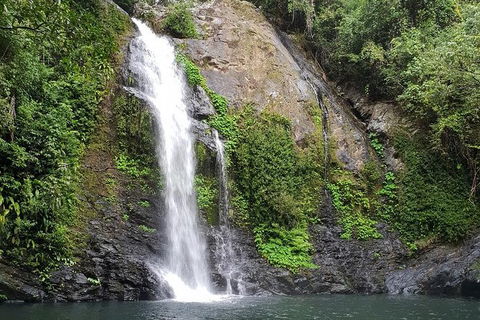 Full Day Tour In The Daintree - Darwin Holiday 2