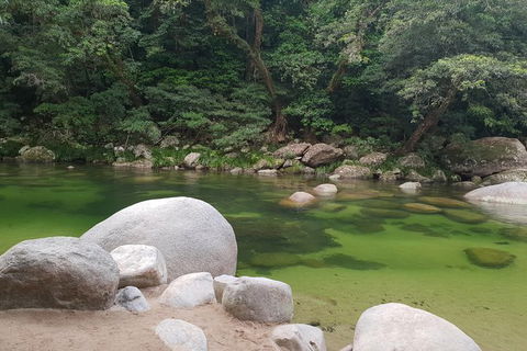 Full Day Tour In The Daintree - Darwin Holiday 5