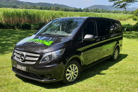 Full Day Tour In The Daintree - Darwin Holiday 3