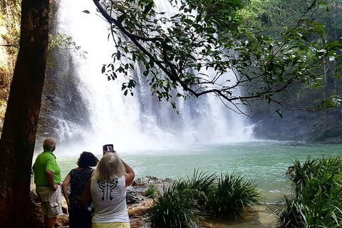 Full Day Tour In The Daintree - Darwin Holiday 1