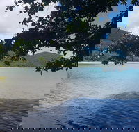 Full Day Tour in the Daintree - Darwin Holiday