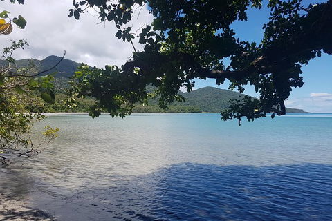 Full Day Tour In The Daintree - Darwin Holiday 0