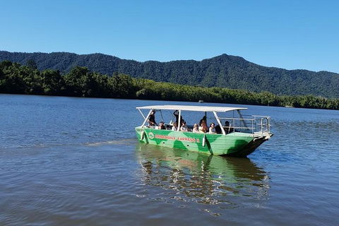 Full Day Tour In The Daintree - Darwin Holiday 4