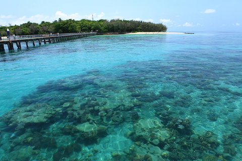 Cairns City Sights And Surrounds Tour - Darwin Holiday 5