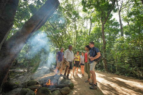 Aboriginal Cultural Daintree Rainforest Tour From Cairns Or Port Douglas - Darwin Holiday 3