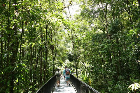 Aboriginal Cultural Daintree Rainforest Tour From Cairns Or Port Douglas - Darwin Holiday 4