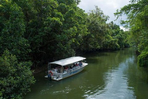 Daintree Rainforest, Cape Tribulation And Bloomfield Track Small Group Tour - Darwin Holiday 5