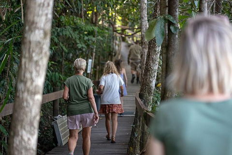 Daintree Rainforest, Cape Tribulation And Bloomfield Track Small Group Tour - Darwin Holiday 15