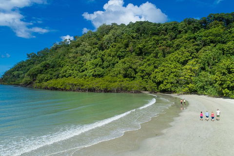 Daintree Rainforest, Cape Tribulation And Bloomfield Track Small Group Tour - Darwin Holiday 2