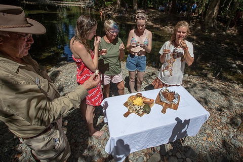 Daintree Rainforest, Cape Tribulation And Bloomfield Track Small Group Tour - Darwin Holiday 10