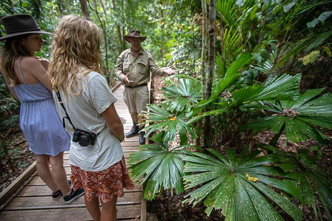 Daintree Rainforest, Cape Tribulation And Bloomfield Track Small Group Tour - Darwin Holiday 12