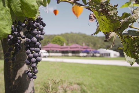 Hot Air Ballooning Including Champagne Breakfast From The Gold Coast - Darwin Holiday 2