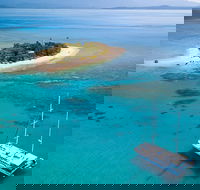 Wavedancer Low Isles Great Barrier Reef Sailing Cruise from Cairns - Darwin Holiday