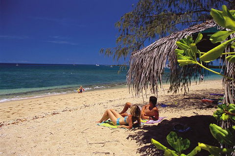 Wavedancer Low Isles Great Barrier Reef Sailing Cruise From Cairns - Darwin Holiday 5