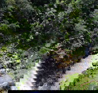 Full-day Springbrook National Park Tour from the Gold Coast