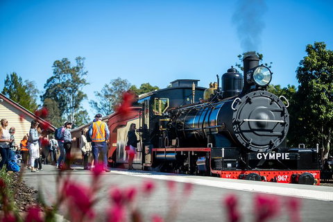 Mary Valley Rattler - Darwin Holiday 5