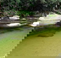 Afternoon Half-Day Daintree Rainforest and River Tour - Darwin Holiday