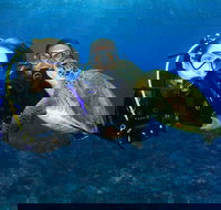 Gold Coast Try-Scuba Experience at Wave Break Island