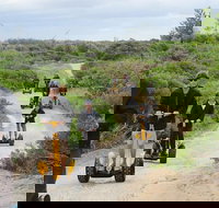 Gold Coast Segway Safari Adventure 90-minutes
