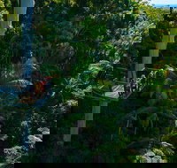 The Best of Tamborine Mountain from the Gold Coast