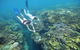 Scenic Helicopter Flight To Moore Reef And Return Snorkeling Cruise From Cairns - thumb 6