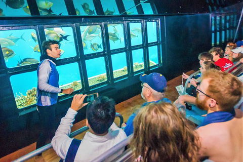 Scenic Helicopter Flight To Moore Reef And Return Snorkeling Cruise From Cairns - Darwin Holiday 7