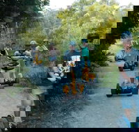 Gold Coast Segway Safari Adventure 60-minutes