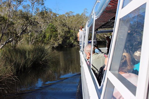 Noosa Everglades Serenity Cruise & Highlights Tour Inc. Lunch & Cruise - Darwin Holiday 10