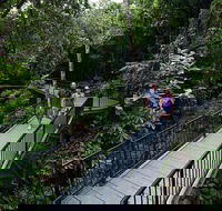 4-Day Cairns with Great Barrier Reef and Daintree Rainforest - Darwin Holiday