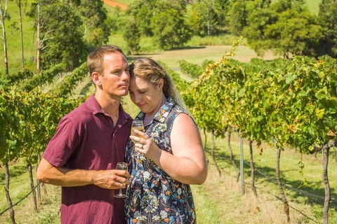 Moreton Bay Wine & Beer Tour - Darwin Holiday 6