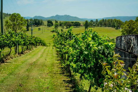 Moreton Bay Wine & Beer Tour - Darwin Holiday 2