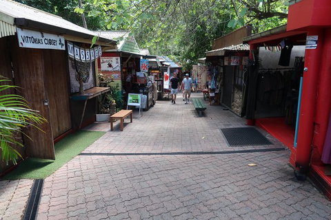 Kuranda Tour Via Skyrail And Kuranda Scenic Rail - Darwin Holiday 8