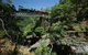 Kuranda Tour Via Skyrail And Kuranda Scenic Rail - thumb 13