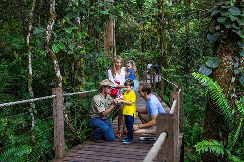Kuranda Tour Via Skyrail And Kuranda Scenic Rail - Darwin Holiday 14