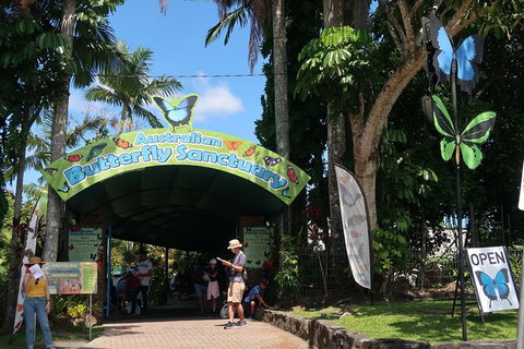 Kuranda Tour Via Skyrail And Kuranda Scenic Rail - Darwin Holiday 19