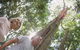 Sunshine Coast Private Scenic Guided Tour Inc. 2-Course Gourmet Lunch - thumb 5