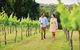 Sunshine Coast Private Scenic Guided Tour Inc. 2-Course Gourmet Lunch - thumb 10