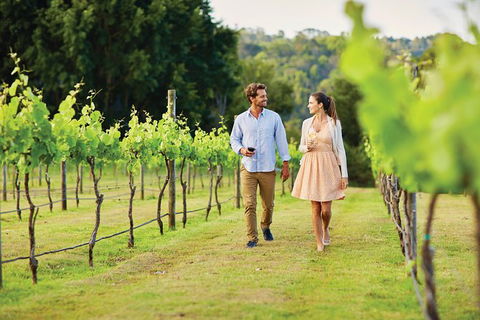 Sunshine Coast Private Scenic Guided Tour Inc. 2-Course Gourmet Lunch - Darwin Holiday 10