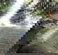 The Gold ExperiencePrivate Day Tour In Lamington National Park or Mt Tambourine