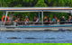 Solar Whisper Daintree River Crocodile And Wildlife Cruise - thumb 3