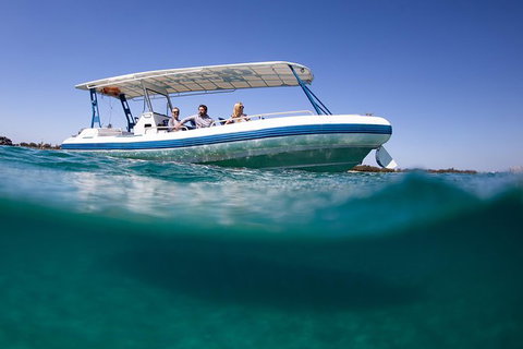 Private Whale Watching - Darwin Holiday 1