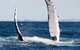 Private Whale Watching - thumb 5